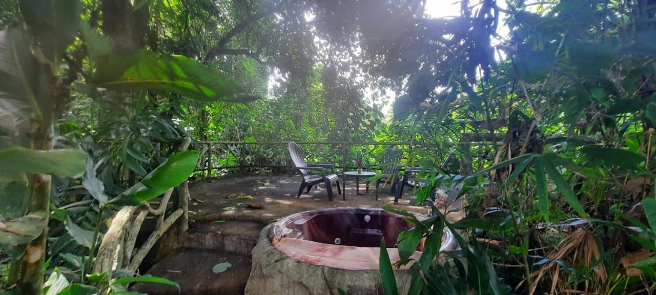 Arenal Ginger Home La Fortuna المظهر الخارجي الصورة